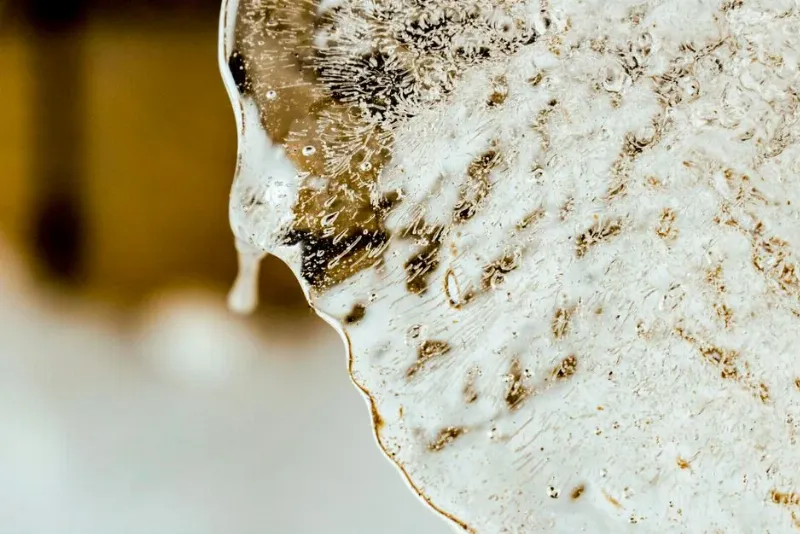 Fluid intelligence vs crystallized intelligence